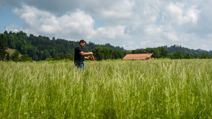 Landwirtschaftsbetrieb Schloss_H?usler_Sumiswald_Arbeit