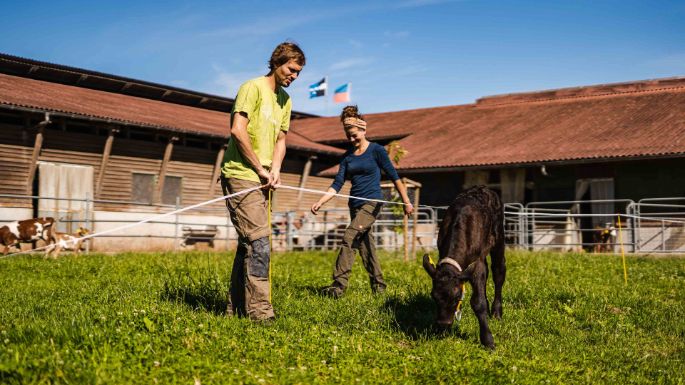 Langenmatt_Etterlin_Muri_Arbeit2