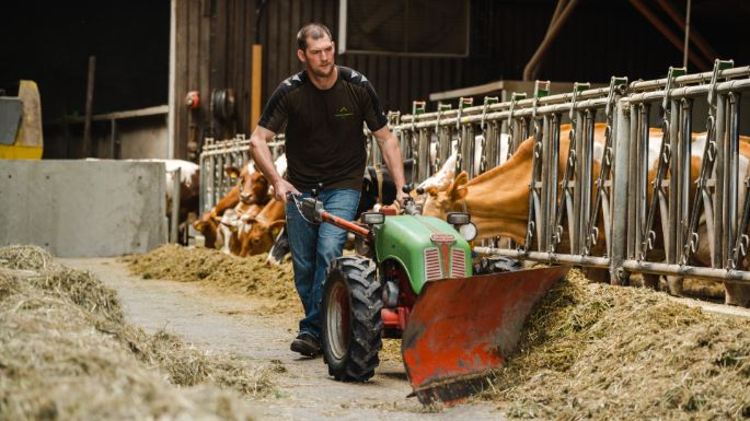 Loostudfarm_Koch_Berikon_Arbeit