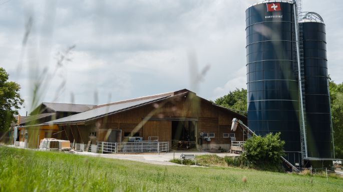 Loostudfarm_Koch_Berikon_Hof