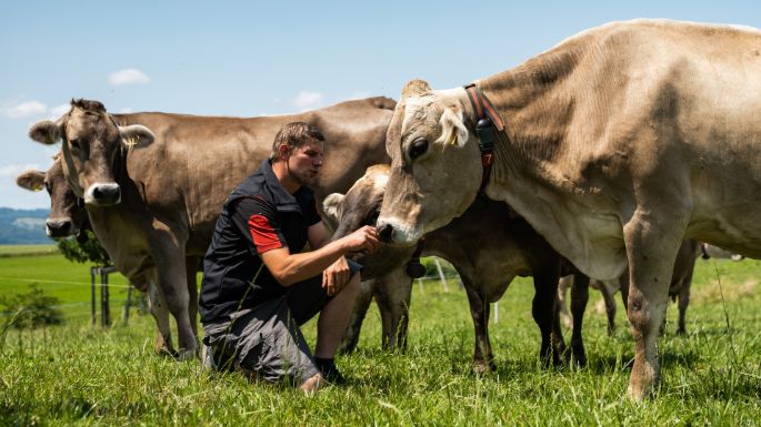 M?hlehof_Gauch_Bettwil_Arbeit-2