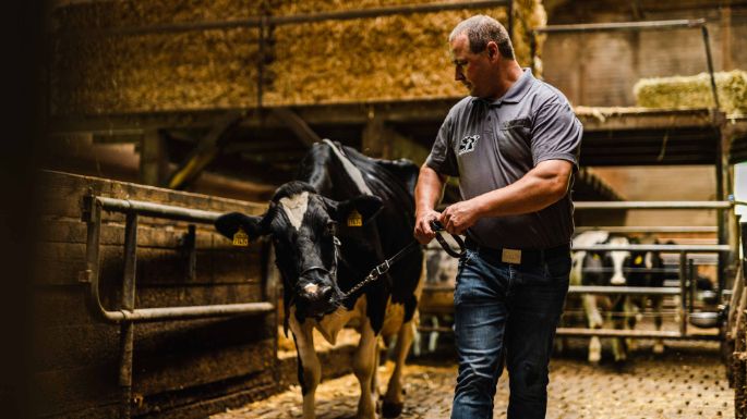 Moetschenhof_Lisser_Lostorf_Arbeit