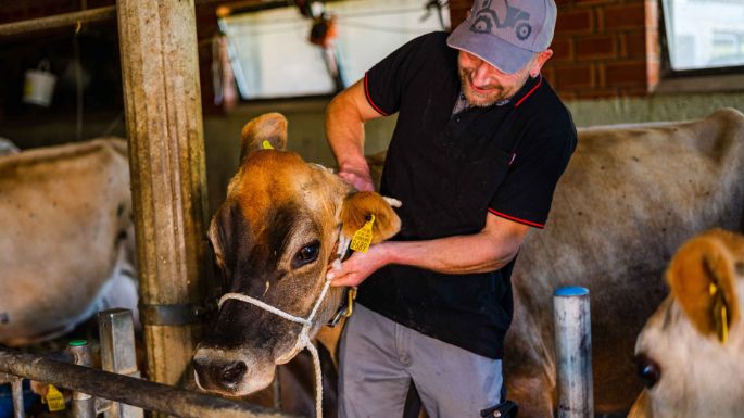 Obere_Scheuerzelg_Neuenschwander_Oeschenbach_Arbeit