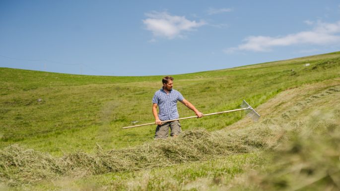 Rossberg_Nauer_Schindellegi_Arbeit