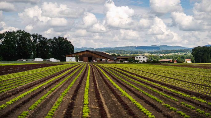 Sandmatthof_Lang_Aristau_Hof