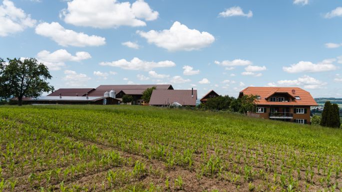 Sch?belberg_Erni_Ruswil_Hof