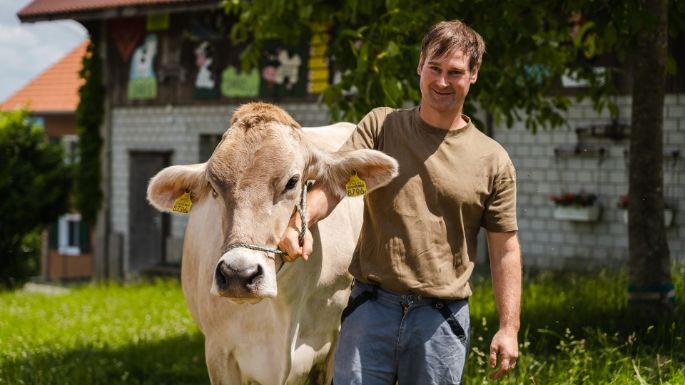 Sch?belberg_Erni_Ruswil_Kuh