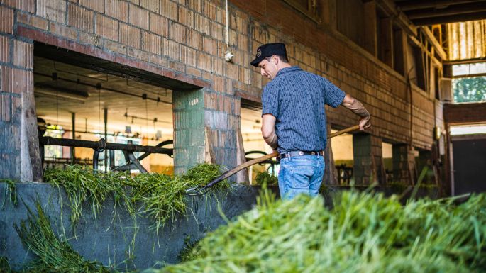 Schwabenweid_Kistler_Reichenburg_Arbeit