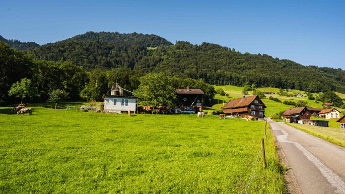 Schwabenweid_Kistler_Reichenburg_Hof