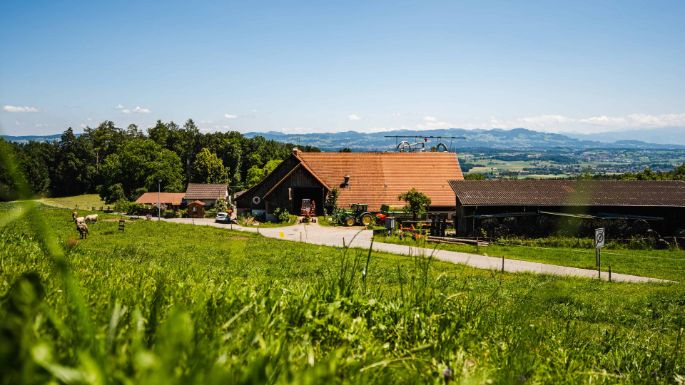 Taegernhof_Burkhard_Forch_Hof