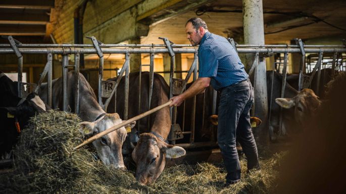 Underberg_Dahinden_Schoepfer_Schuepfheim_Arbeit