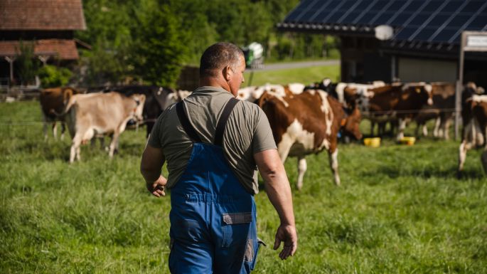 Wiggermatt_Meier_Willisau_Arbeit