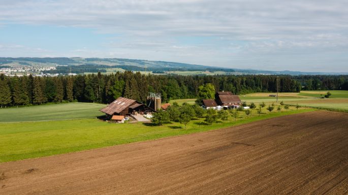 Wolfacker_Baumgartner_Hagendorn_Drohne