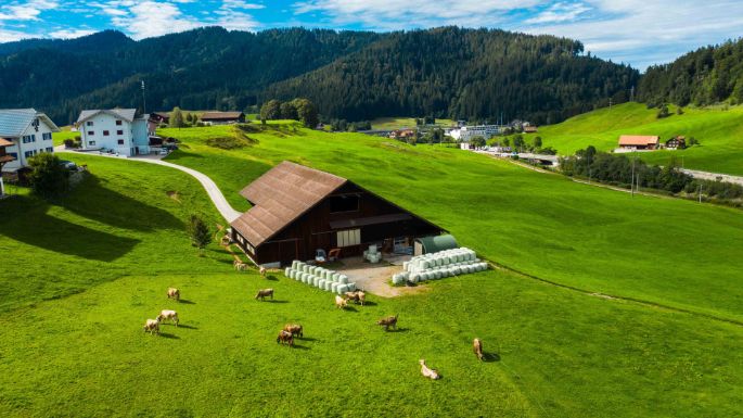 Aescher-Oberkarren_Kälin_Bennau_Drohne