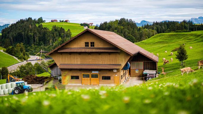 Aescher-Oberkarren_Kälin_Bennau_Hof