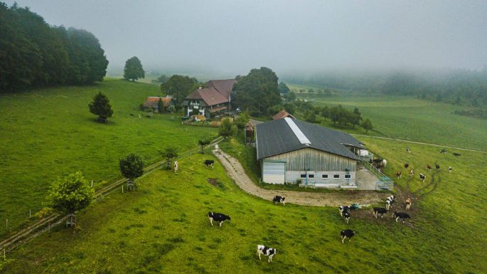 Amselberg_Wüthrich_Worb_Drohne