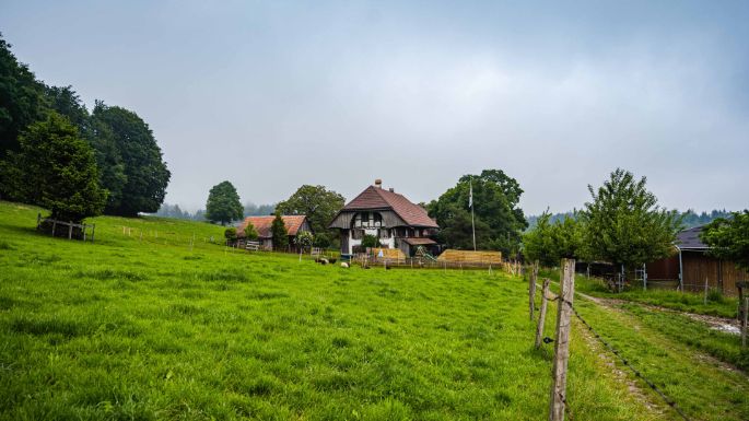 Amselberg_Wüthrich_Worb_Hof
