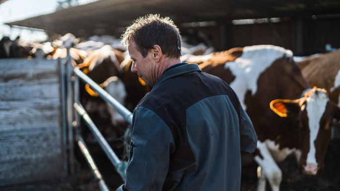 Badhof_Stofer_Wilihof_Arbeit-2