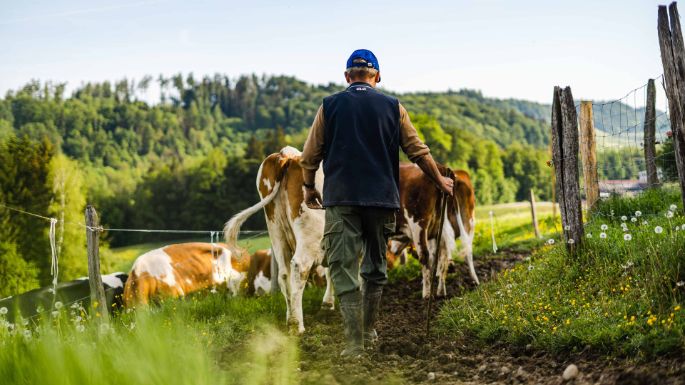 Bauernhof Bättwil_Mathys_Burgdorf_Arbeit 1