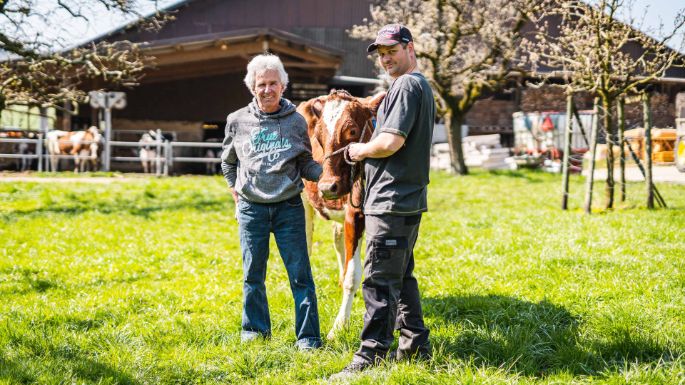 BG_Hagenbucher-Job_Hagenbucher_Birmensdorf_Kuh_2