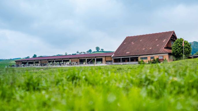 BG_Leu_Anderhub_Leu_Hohenrain_Arbeit_Hof