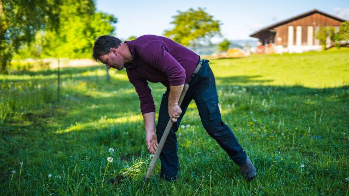 Bio_Eichholz_Scherrer_Lengnau_Arbeit