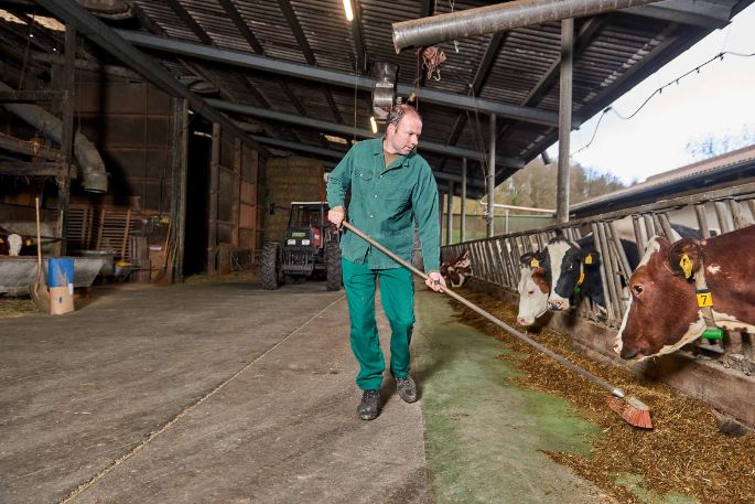 Birkenhof Teller, Simon Teller, Endingen_Stall_2