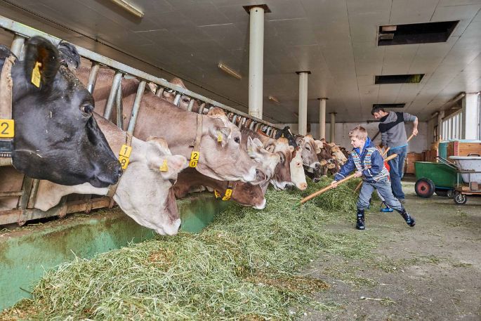 Bleichi_Andreas Krieg, Niederurnern_Stall