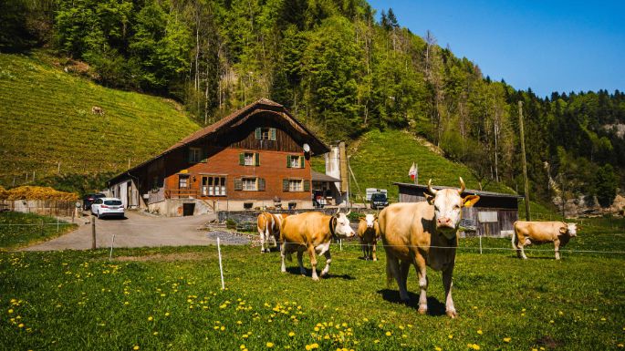 Bodenacher_Meyer_Wolhusen_Hof