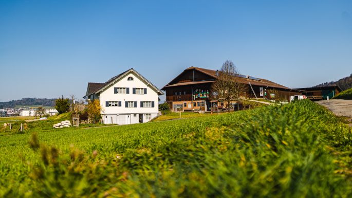 Bodenacherhof_Arnold_Wikon_Hof
