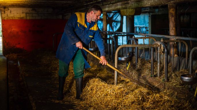 Breitenwaldweid_Linder_Oberburg_Arbeit