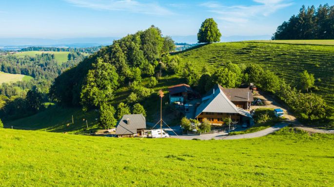 Breitenwaldweid_Linder_Oberburg_Hof
