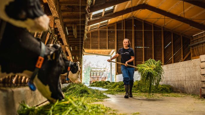 Brunnacherhof_Sandmeier_Seengen_Arbeit