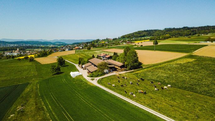 Brunnacherhof_Sandmeier_Seengen_Drohne
