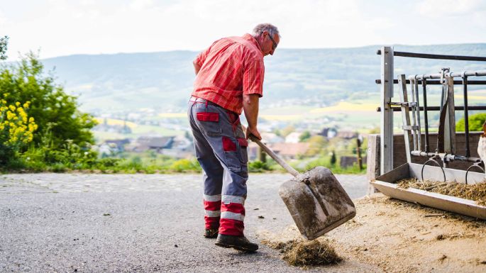 Buckacherhof_Knecht_Schneisingen_Arbeit