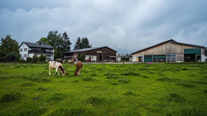Büelhof_Trutmann_Riedikon_Hof