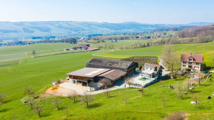 Buehlen_Zimmermann_Kleinwangen_Drohne