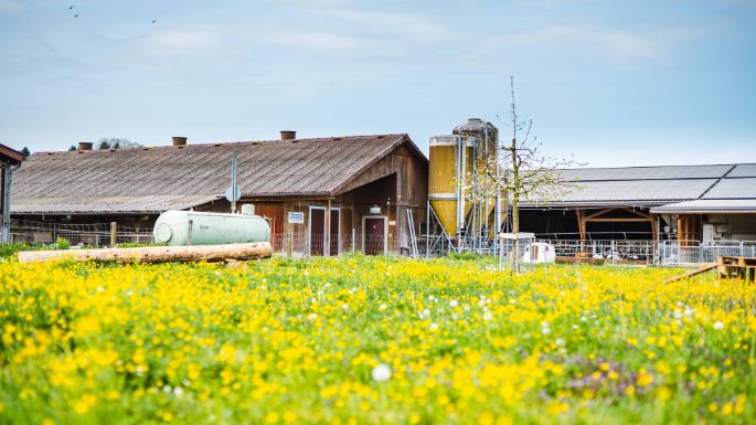 BZG_Fischer_Waldvogel_Fischer_Merenschwand_Hof