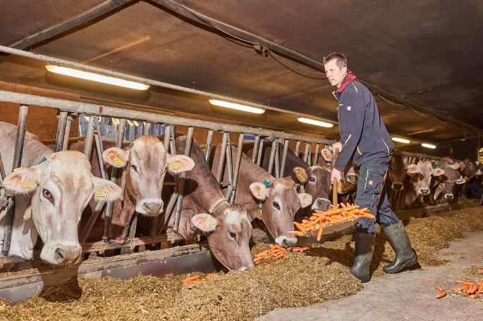 Chleehof, Beat Zimmermann-Knecht, Fisibach_Stall