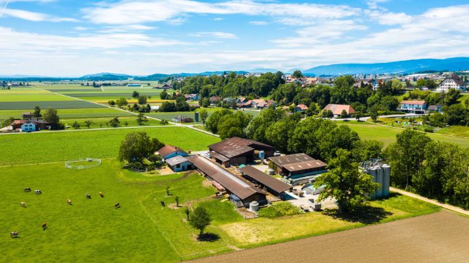 Eichhof_Krebs-Jenni_Bühl_b._Aarberg_Drohne