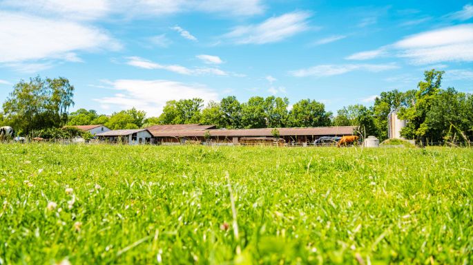 Eichhof_Krebs-Jenni_Bühl_b._Aarberg_Hof