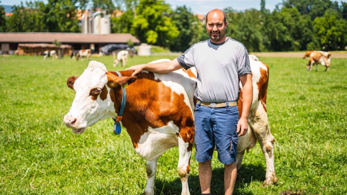 Eichhof_Krebs-Jenni_Bühl_b._Aarberg_Kuh_2