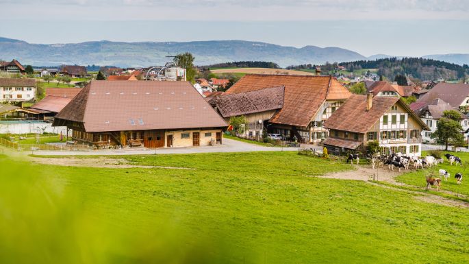 Eichhof_Weber_Grasswil_Hof