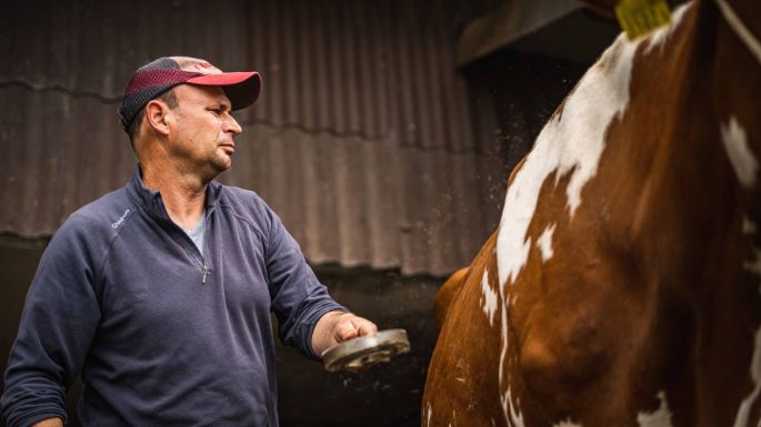 Erliacherhof_Willi_Würenlos_Arbeit