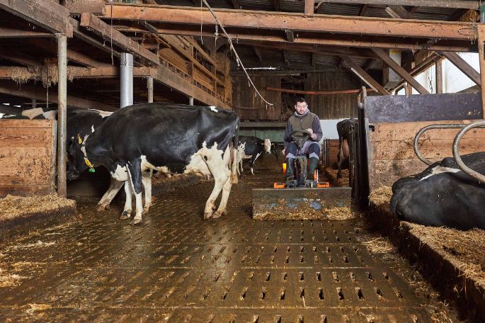 Feldhof, Simon Frauchiger, Oftringen_Stall_3