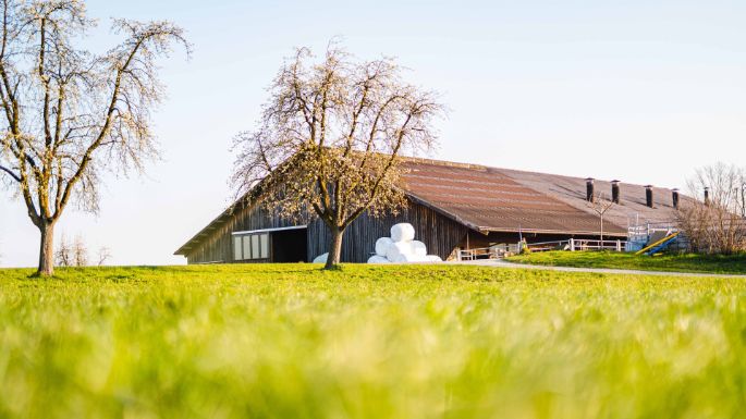 Fluhhof_Bachofen_Maur_Hof