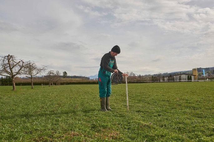 Flurhof, Urban Keusch, Boswil_Weide