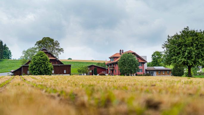 Gallee_Koch-Frey_Sempach_Hof