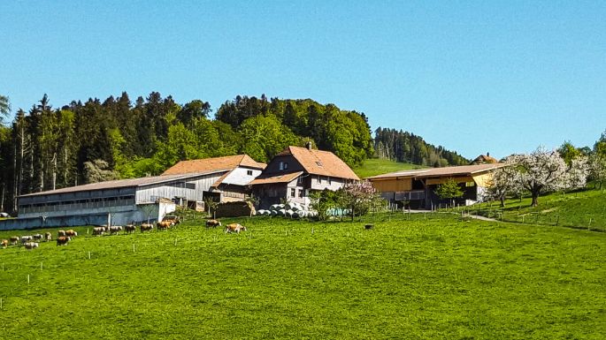 Gaselweid_Stettler_Gasel_Hof von Bauer