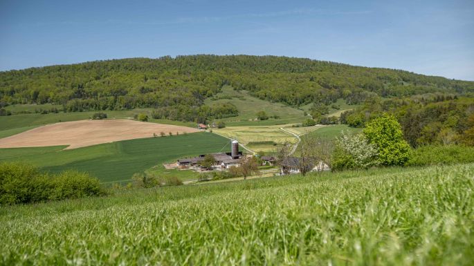 Gehrenhof_Stucki_Erlinsbach_Hof